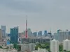 【東京都/港区白金】白金ザ・スカイ E棟 眺望