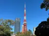 【東京都/港区虎ノ門】パークコート虎ノ門愛宕タワー  東京タワー（現地より約850m）