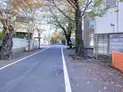 【東京都/世田谷区上北沢3丁目】世田谷区上北沢3丁目 土地 前面道路