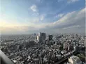 【東京都/新宿区西新宿5丁目】パークタワー西新宿 眺望