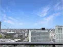 【神奈川県/川崎市中原区新丸子東3丁目】パークシティ武蔵小杉ミッドスカイタワー 眺望