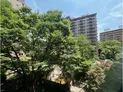 【東京都/渋谷区広尾4丁目】広尾ガーデンヒルズ ウエストヒル J棟 眺望:バルコニーから中庭の緑を望む