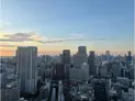 【東京都/港区芝浦4丁目】芝浦アイランドグローブタワー 眺望:ズームなし