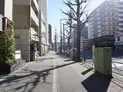 【東京都/豊島区駒込1丁目】ブランズ駒込六義園 前面道路