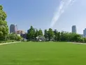 【東京都/港区六本木3丁目】ロイヤルシーズン六本木 六本木檜町公園(現地より約850m)