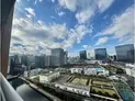【東京都/港区港南3丁目】パークタワー品川ベイワード 眺望:ズームなし