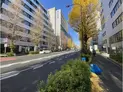 【東京都/渋谷区神宮前2丁目】パーク・ノヴァ神宮前 前面道路