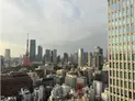 【東京都/港区浜松町2丁目】WORLD TOWER RESIDENCE 眺望:ズームなし