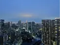 【東京都/港区芝浦4丁目】芝浦アイランドケープタワー 眺望