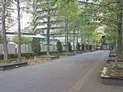【東京都/港区港南4丁目】シティタワー品川 敷地内