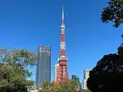 【東京都/港区浜松町1丁目】パークコート浜離宮ザタワー 東京タワー(現地より約1,250m)