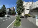 【東京都/渋谷区広尾2丁目】ヴェラハイツ広尾 前面道路