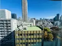 【東京都/港区南青山2丁目】パークコート青山ザタワー 眺望:洋室から