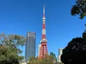 【東京都/港区虎ノ門3丁目】パークコート虎ノ門愛宕タワー 東京タワー(現地より約850m)