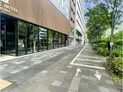 【京都府/京都市中京区御池通室町西入西横町】京都市中京区御池通室町西入西横町 一棟ビル 前面道路