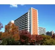 ヒルズ光が丘公園
