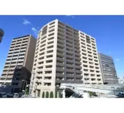 シャリエ立花