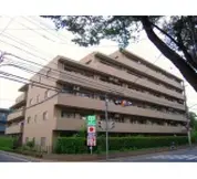 ハイラーク田無本町
