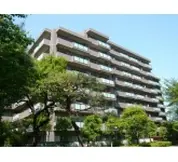 アデニウム梅ヶ丘JP