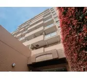 東京グランドコープス