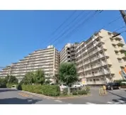 アデニウム千葉みなと