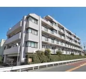 シーダム等々力