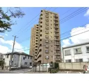 アデニウム千葉みなと