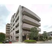 アデニウム日吉