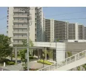 ニューロシティ