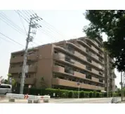 アデニウム船橋