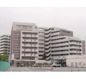 シルキー橋本