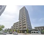 シルキー橋本