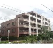 ダイアパレスパレッティア