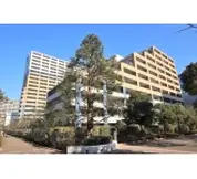 アデニウムコート木場
