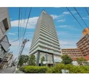 光が丘パークタウンいちょう通り東