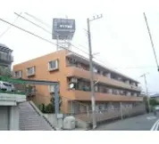 ハイセレサ菊名アクティール