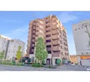 マイコート用賀