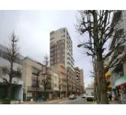 コリーヌメジロ