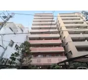 リビオレゾン白金