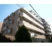 ルイシャトレ新中野