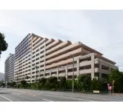 アデニウム武蔵小山