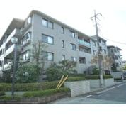 コープ野村緑山ヒルズ参番館