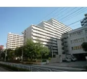 ライオンズステーションプラザ西大島