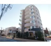 セザール杉並和田