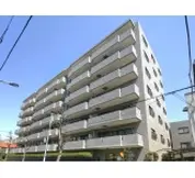 光が丘パークタウンいちょう通り東