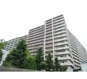 リーザス大阪