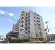 アデニウム西船橋