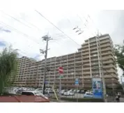 西宮マリナパークシティ桜のまち
