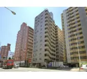 ライオンズシティ東京根岸