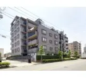 ライオンズシティ亀有